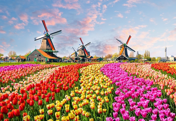 KEUKENHOF, LE PLUS BEAU PARC PRINTANIER DU MONDE - CONFIRME