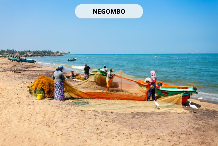 À LA RENCONTRE DU SRI LANKA