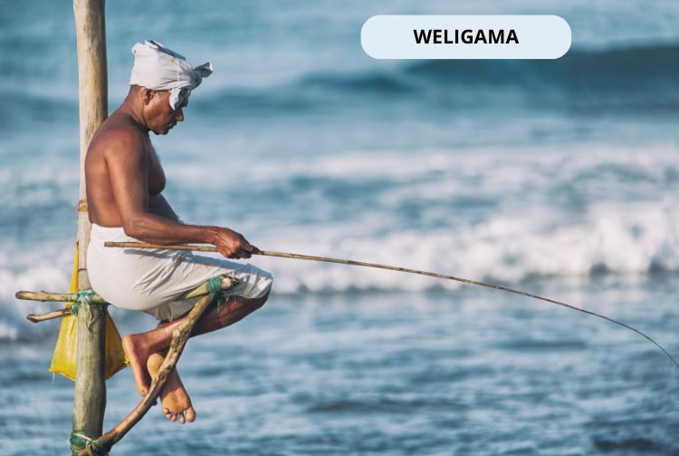 À LA RENCONTRE DU SRI LANKA