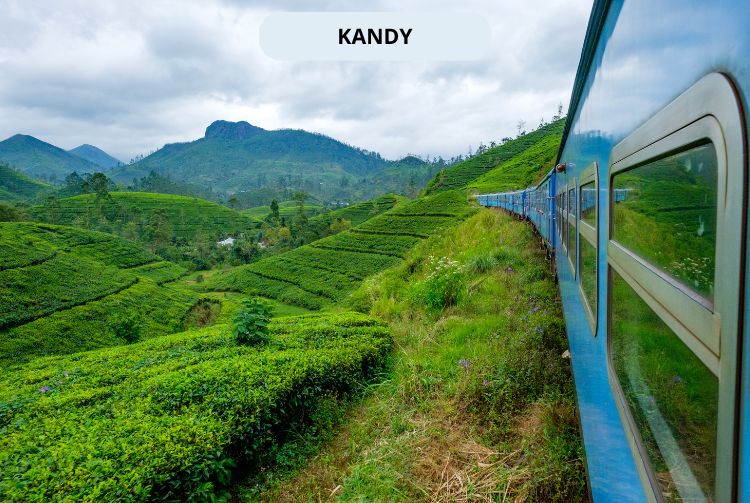 À LA RENCONTRE DU SRI LANKA