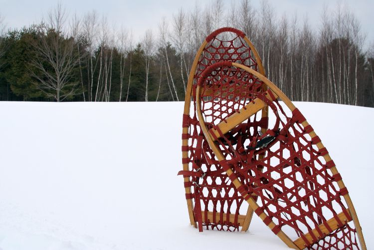SÉJOUR ALPES DOMAINE DES ARCS