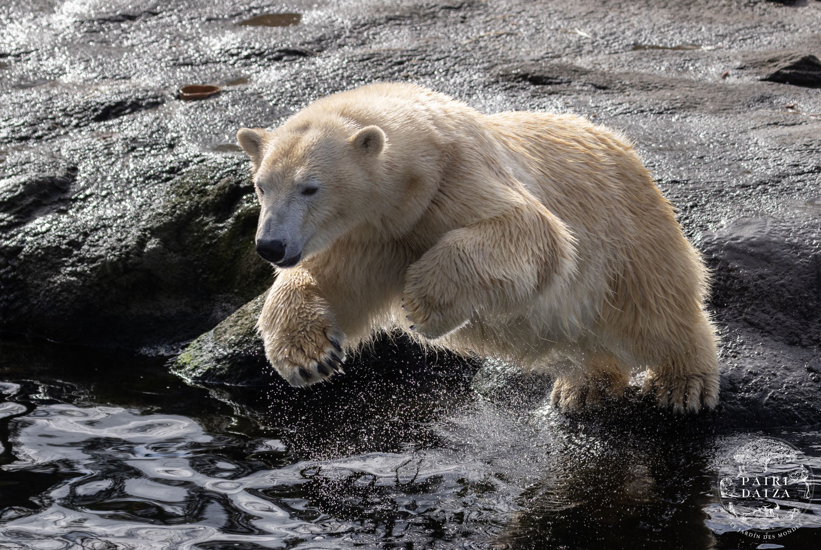 PAIRI DAIZA AUX COULEURS DU PRINTEMPS