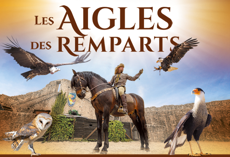 LES MEDIEVALES DE PROVINS