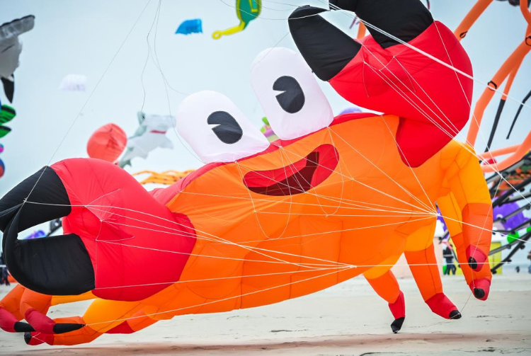  BERCK SUR MER - RENCONTRES INTERNATIONALES DE CERFS-VOLANTS 