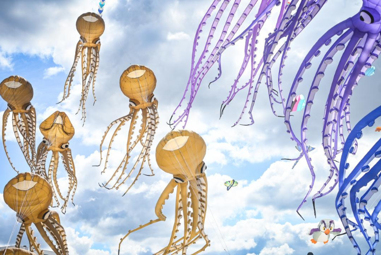  BERCK SUR MER - RENCONTRES INTERNATIONALES DE CERFS-VOLANTS 