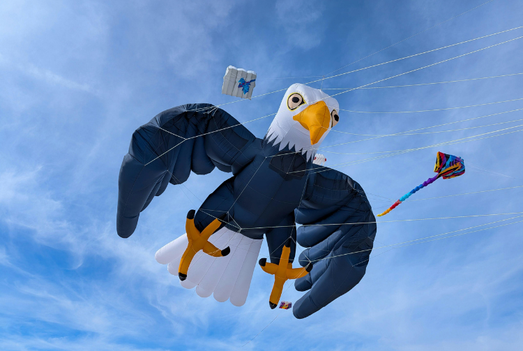  BERCK SUR MER - RENCONTRES INTERNATIONALES DE CERFS-VOLANTS 