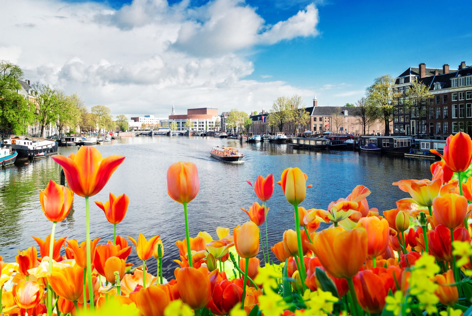 AMSTERDAM FÊTE DU ROI