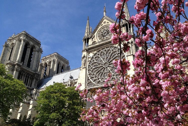 MUSÉE GRÉVIN ET BATEAUX PARISIENS