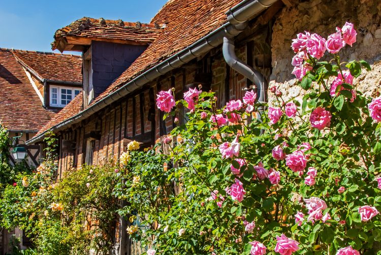 FÊTE DE LA ROSE À GERBEROY