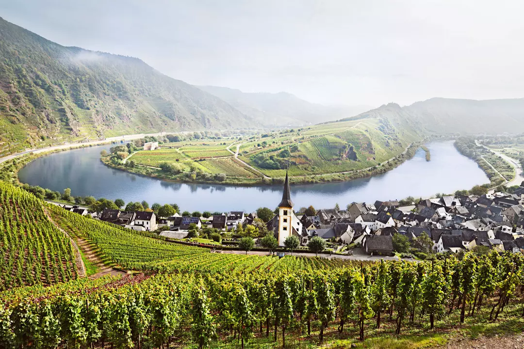 DEJEUNER CROISIERE ET VIGNOBLES EN MOSELLE LUXEMBOURGEOISE