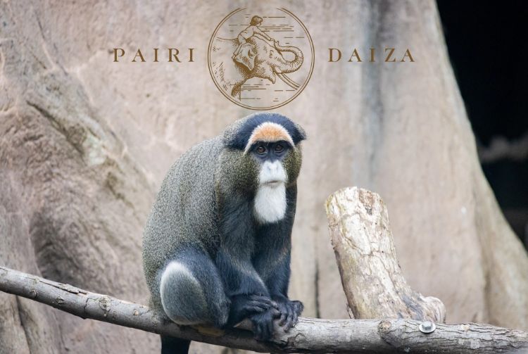 PAIRI DAIZA