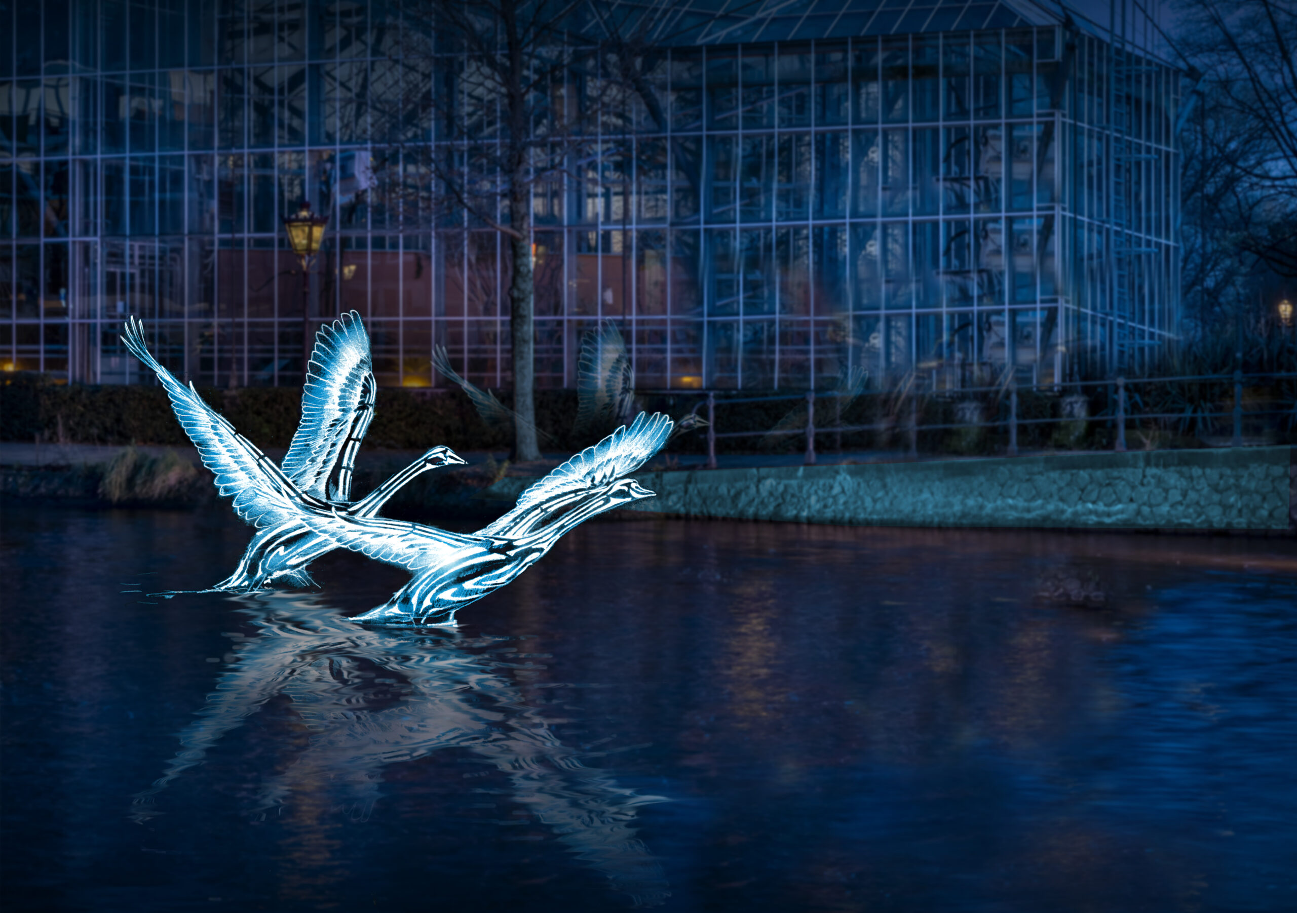 AMSTERDAM FESTIVAL DES LUMIERES