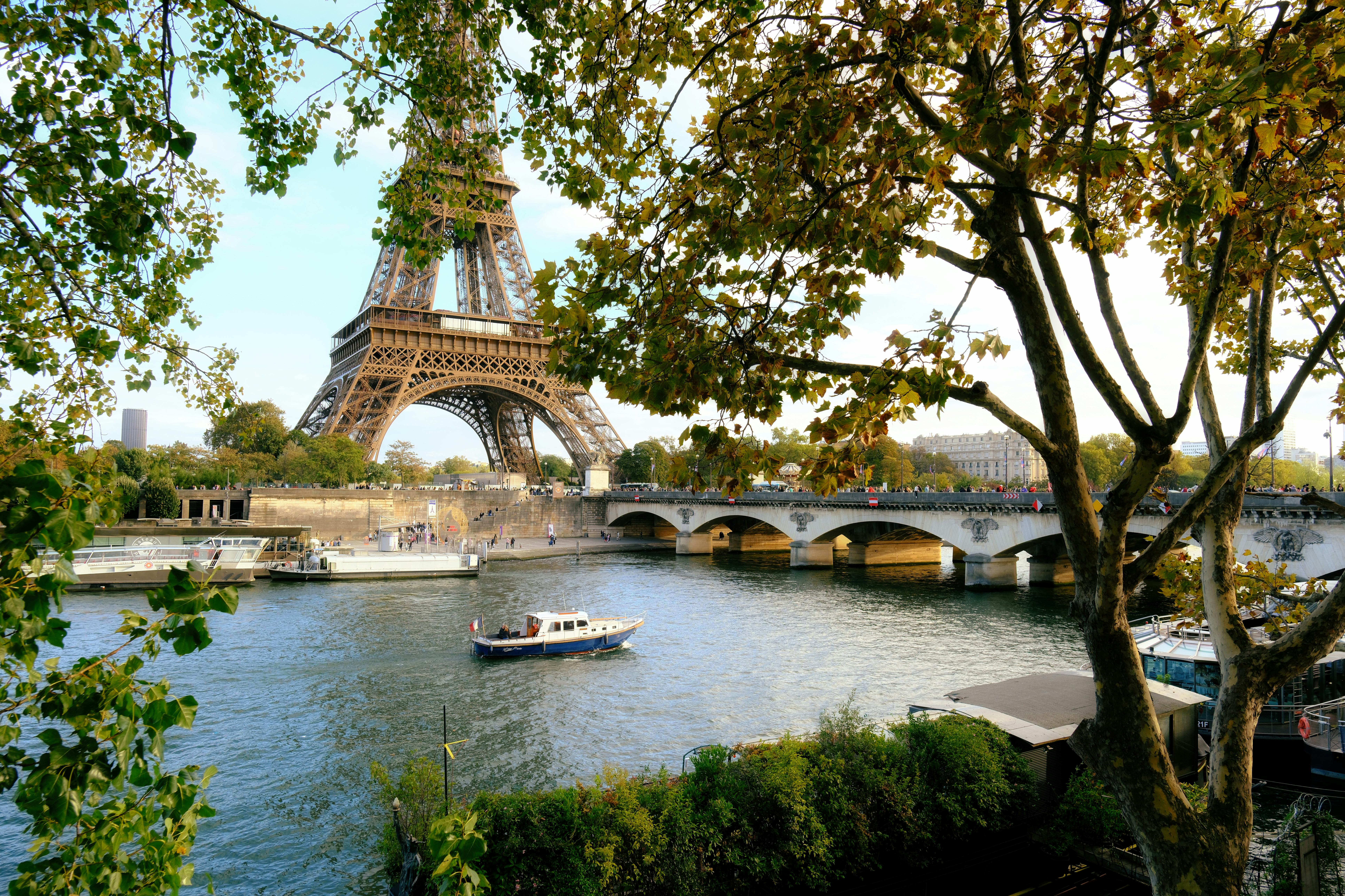 NOTRE-DAME : HISTOIRE ET IMMERSION 360°