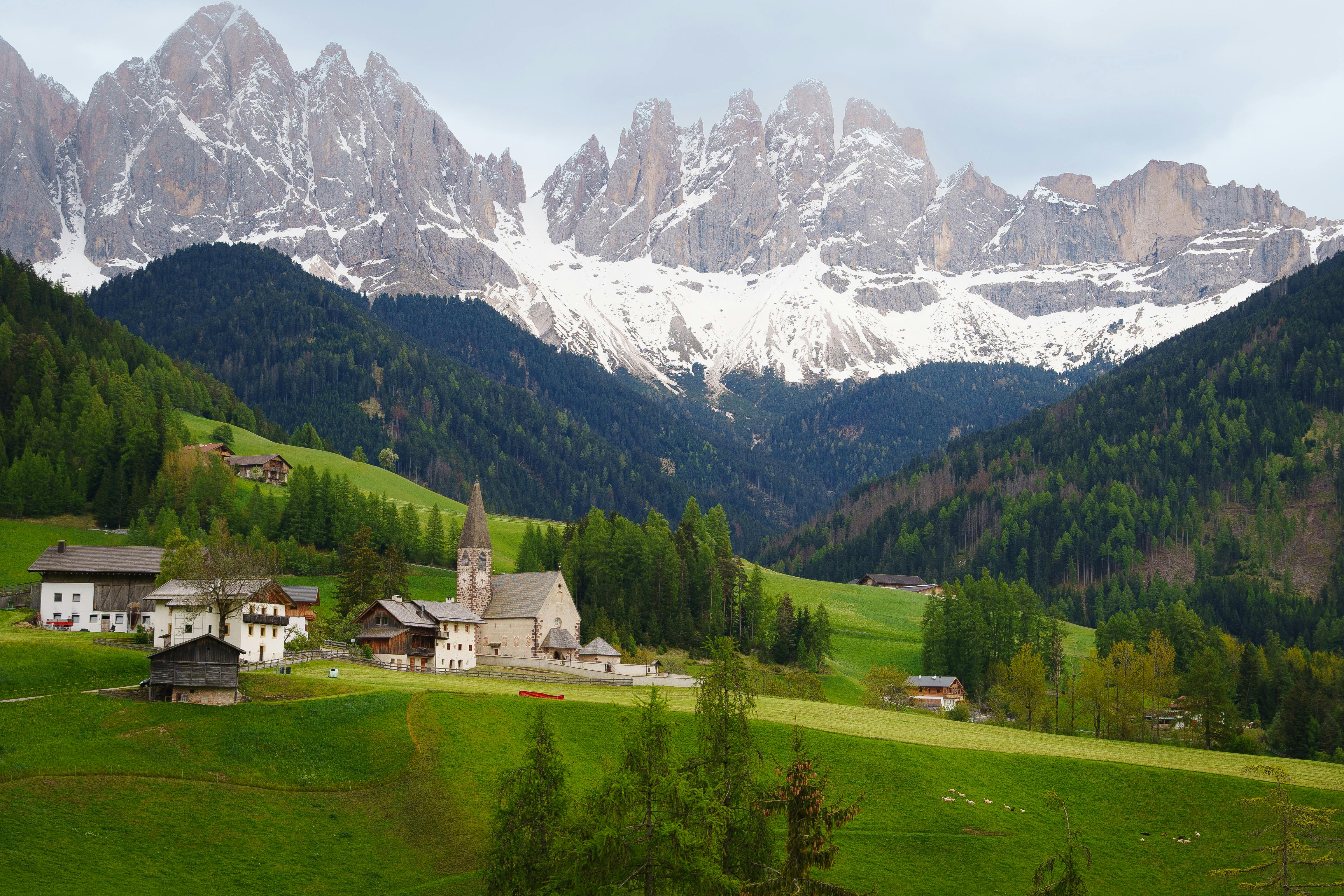 TYROL & TRANSHUMANCE EN AUTRICHE