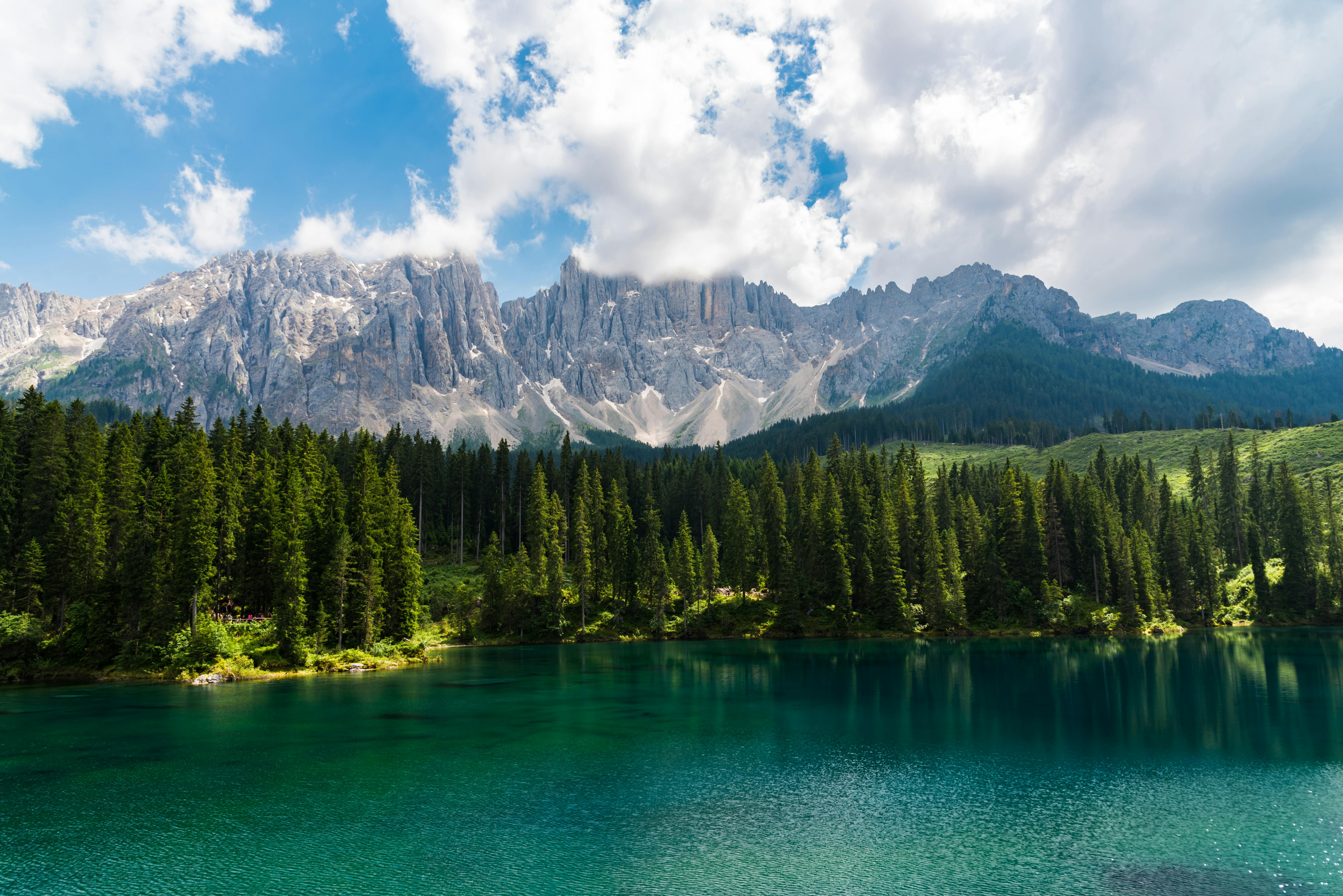 TYROL & TRANSHUMANCE EN AUTRICHE
