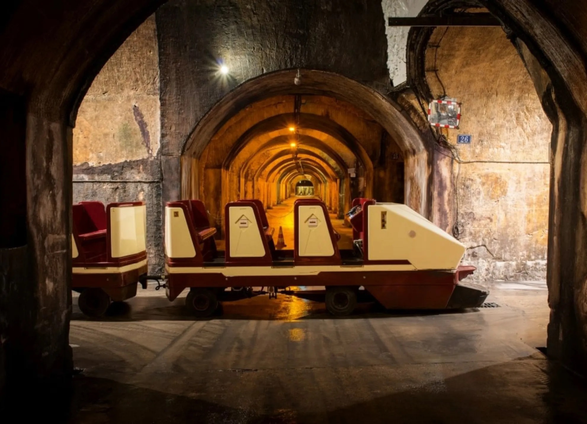 DEJEUNER CROISIERE MUSICALE & TRAIN DES CAVES MERCIER
