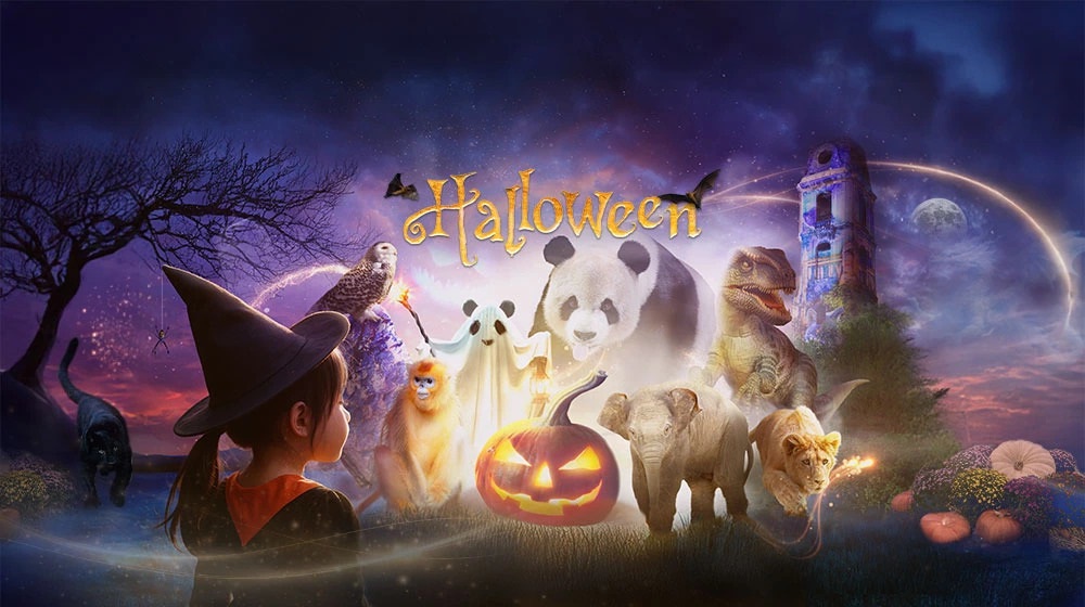 PAIRI DAIZA CELEBRE HALLOWEEN 