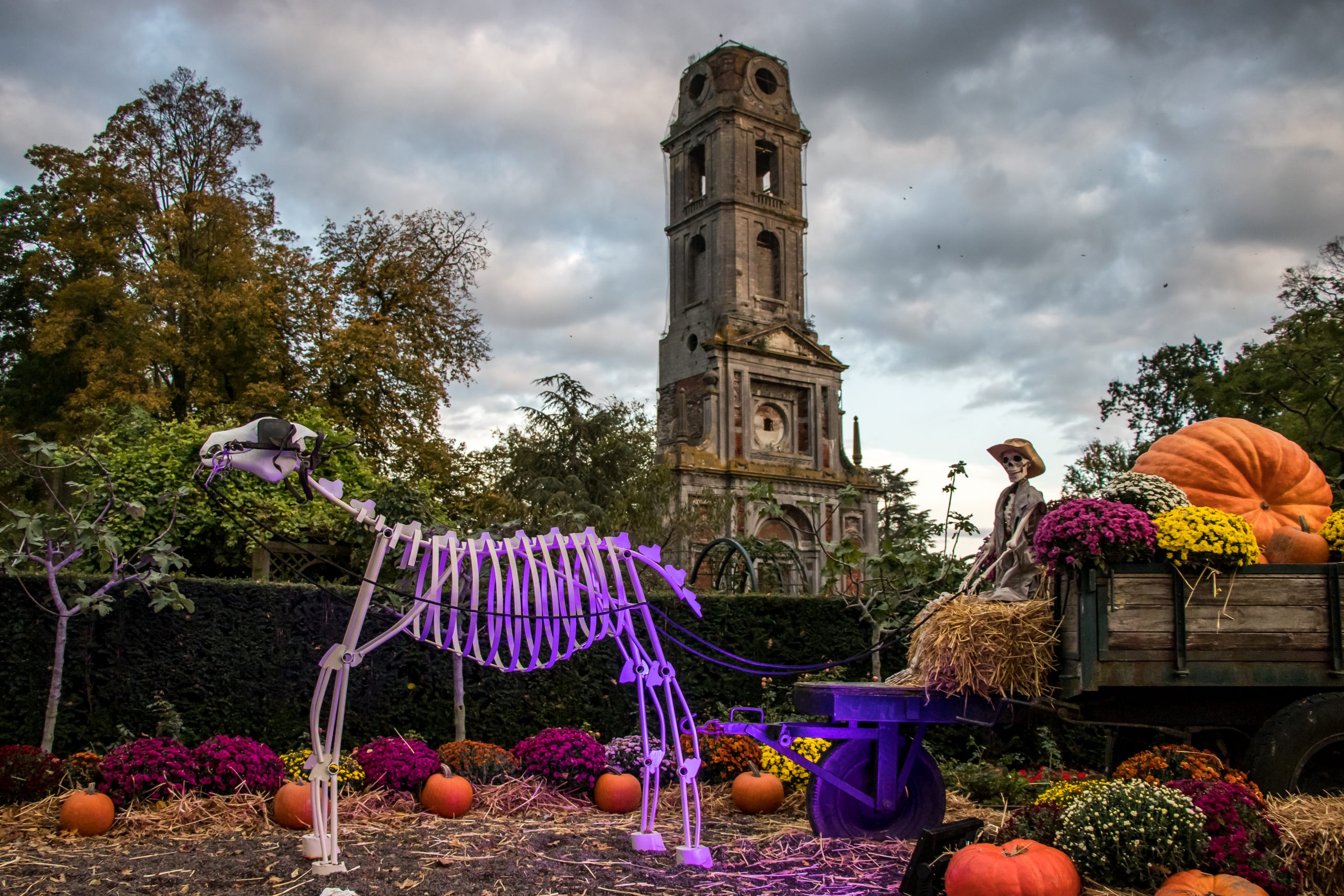 PAIRI DAIZA CELEBRE HALLOWEEN 