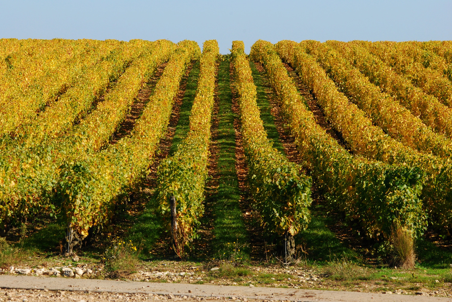 WEEK-END ENTRE LOIRE, JARDINS & VIGNES