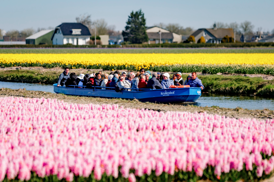 L’ODYSSEE FLORALE D’AALSMEER A KEUKENHOF