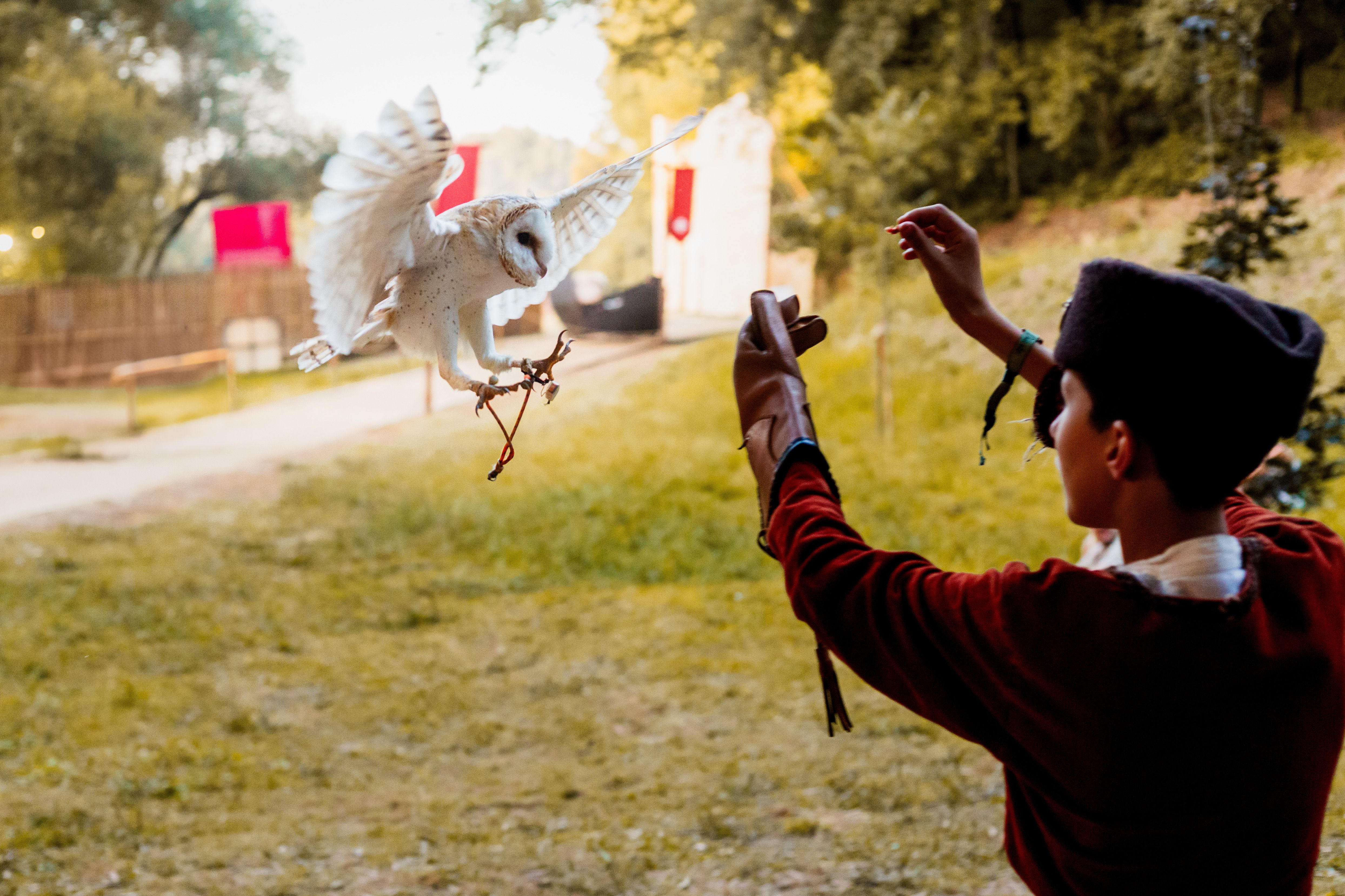 WEEK END AU PUY DU FOU 